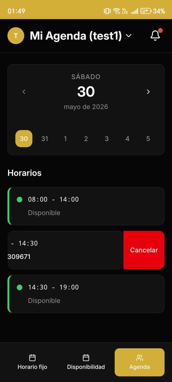 Panel de agenda — turnos del día